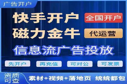 XX领域竞价广告的投放策略及效果展示